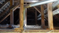 DSC01990.JPG