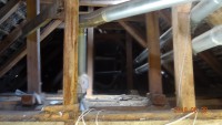 DSC01992.JPG