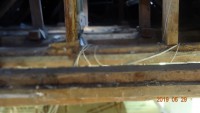 DSC01995.JPG