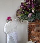 dsc-4637.jpg