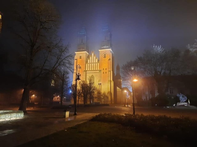 PIELGRZYMKA DO KATEDRY