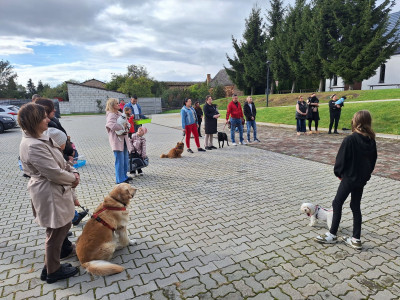 Wspomnienie św. Franciszka z Asyżu